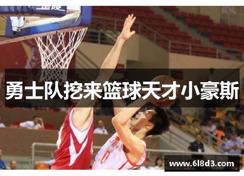 勇士队挖来篮球天才小豪斯